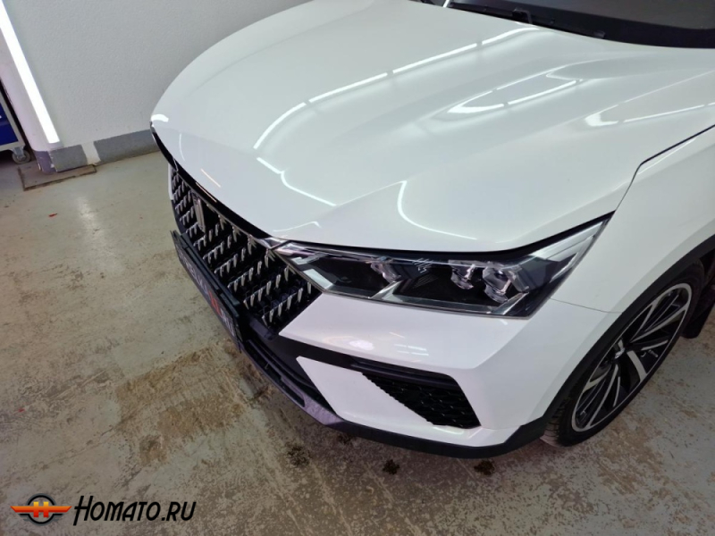 Накладки на фары для FAW Bestune T77 | 2 штуки, декор