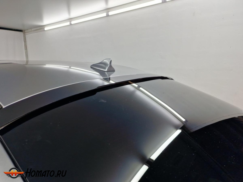 Козырек на крышку багажника для Haval F7x 2019-2024 | 1 штука, декор