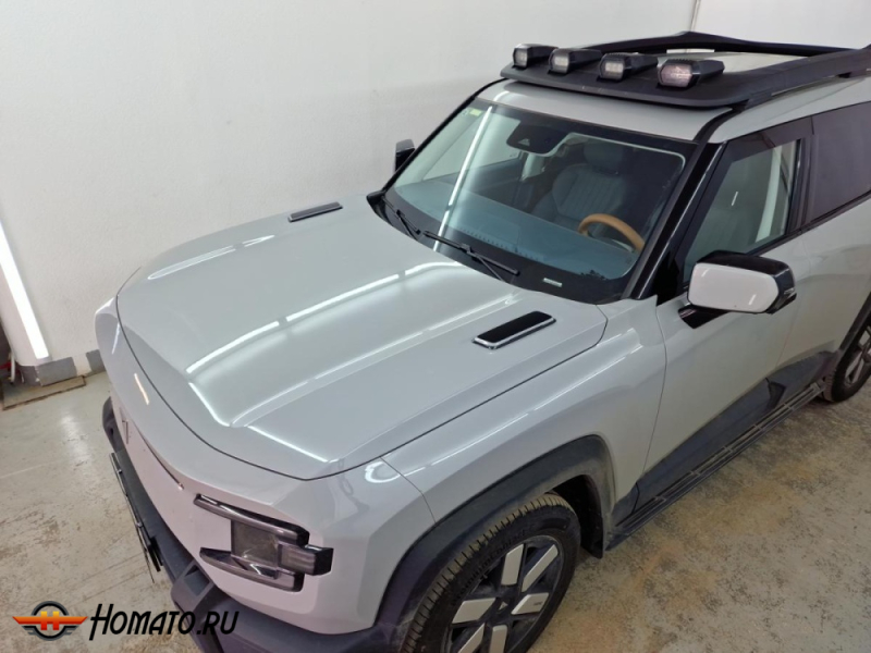 Накладки на капот для Deepal G318 | 2 штуки, декор