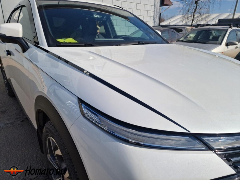 Накладки на капот для Хавал Ф7Х 2 2024+ | 2 штуки, декор