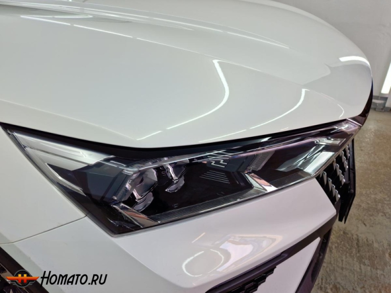 Накладки на фары для FAW Bestune T77 | 2 штуки, декор