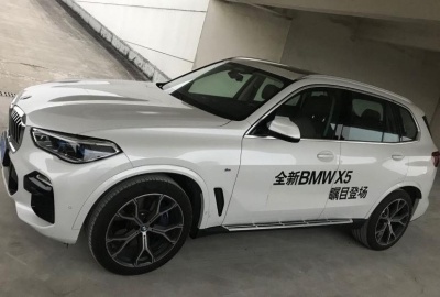 Пороги OEM для BMW X5 G05 2019+