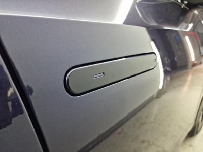 Накладки на ручки дверей для Volkswagen Teramont PRO | 4 штуки, декор