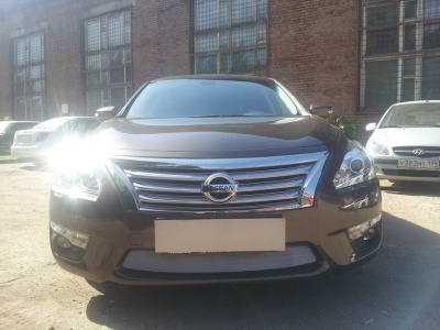 Защита радиатора для Nissan Teana 3 (L33) 2013+ | Стандарт