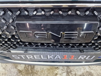 Накладки на буквы логотипа для Тенет Т8 | декор