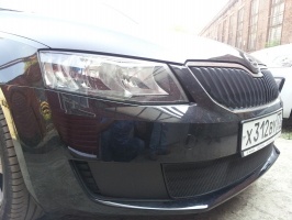 Защита радиатора Skoda Octavia А7 Active black