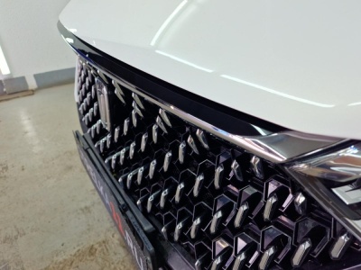 Накладка между фар для ФАВ Бестюн Т77 | 1 штука, декор