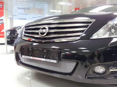Защита радиатора для Nissan Teana 2 (J32) 2008+ | Стандарт