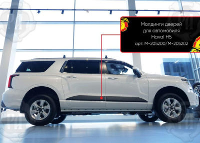 Молдинги на двери для Haval H5 2023+ | шагрень