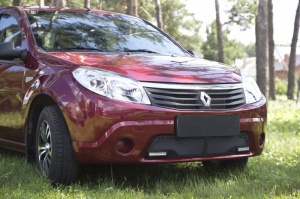 Защитная сетка переднего бампера (с ДХО) для Renault Sandero 2009-2013 | шагрень