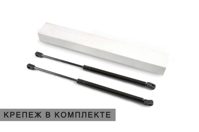 Упоры капота SWM G01 | G01F | G01FF | 2 амортизатора